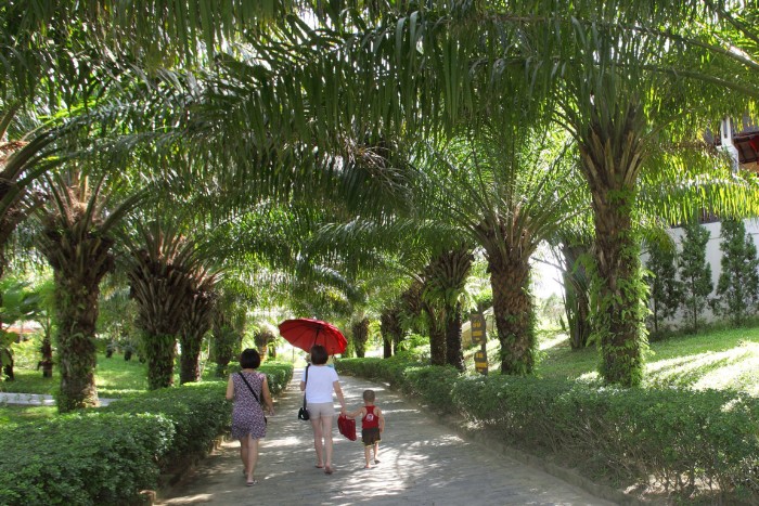 View - AGRIBANK HOI AN BEACH  RESORT